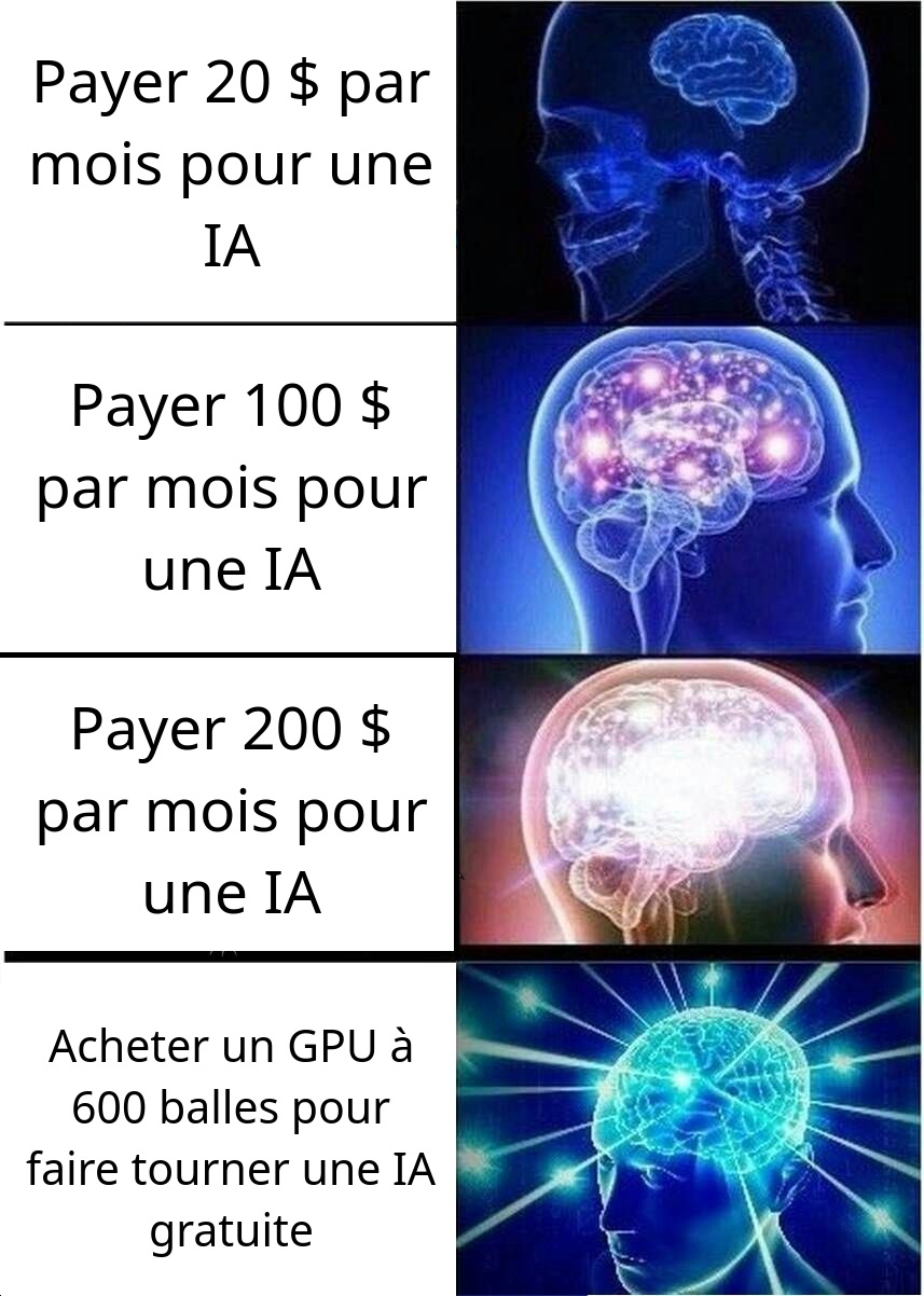 Meme expanding brain: payer 20 dollars par mois pour une IA, puis 100, puis 200, et enfin acheter un GPU à 600 balles pour faire tourner une IA gratuite